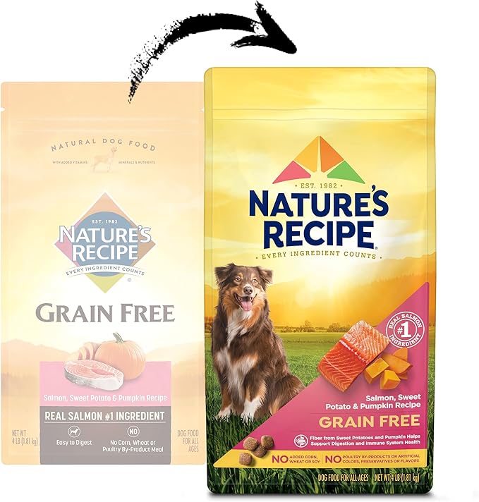 Natureâ€²s Recipe Grain Free Salmon, Sweet Potato & Pumpkin Recipe Dry Dog Food, 4 lb. Bag (Pack of 2)