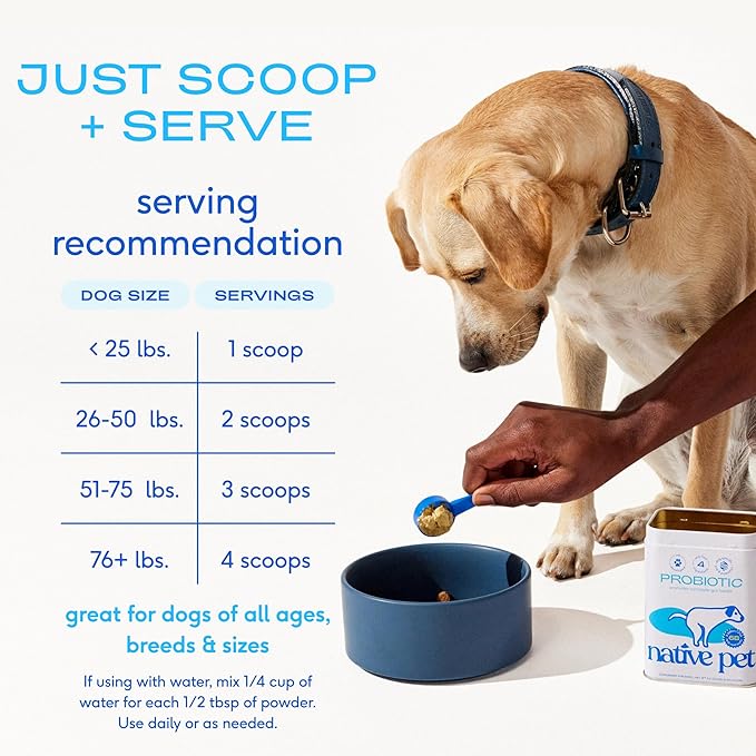 Native Pet Probiotics for Dogs – Dog Probiotic Powder for Gut & Digestive Health, Vet-Formulated 6B CFUs Dog-Specific Probiotic Strains, Supports Stool Quality & Diet Transitions – 30 Scoops