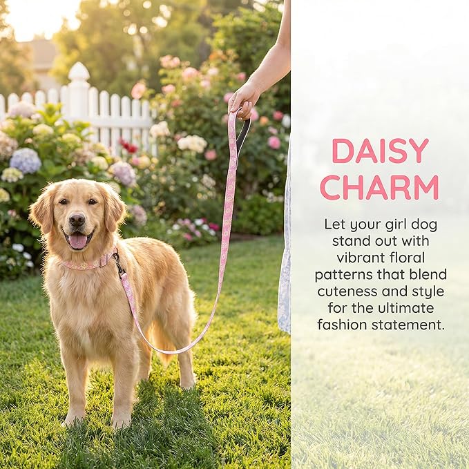 Pink Martingale Dog Collar and Leash Set for Female Dogs, Cute Daisy Pattern Girl Dog Collar, Adjustable Soft Durable Pet Collar with 5ft Matching Leash for Small Medium Large Dogs