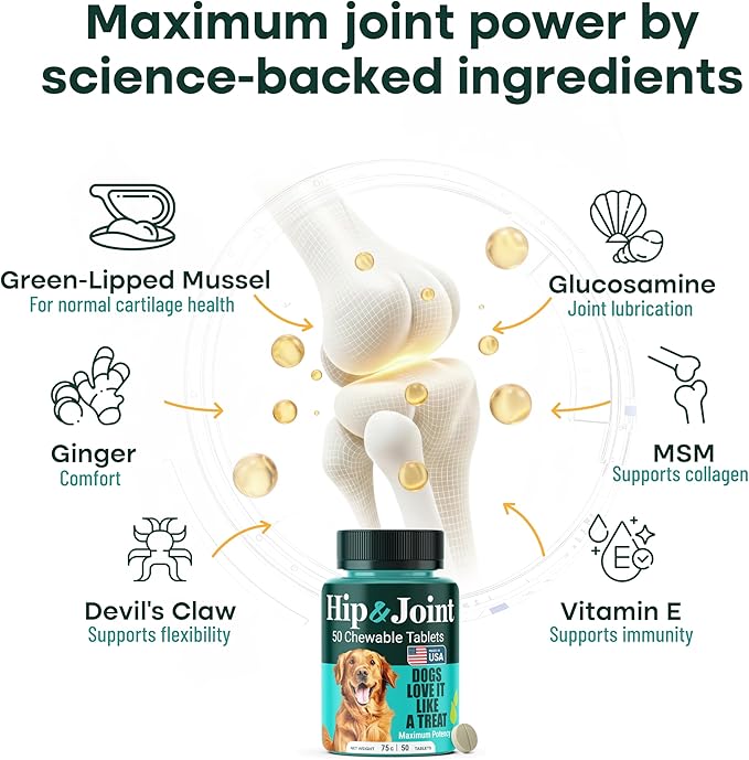 Natureflow Hip & Joint Supplement for Dogs, 300mg Green-Lipped Mussel for Dog Arthritis Pain Relief, Glucosamine, MSM & Chondroitin, Zero Sugar, Large Medium Small Breeds, 100 Chewable Tablets