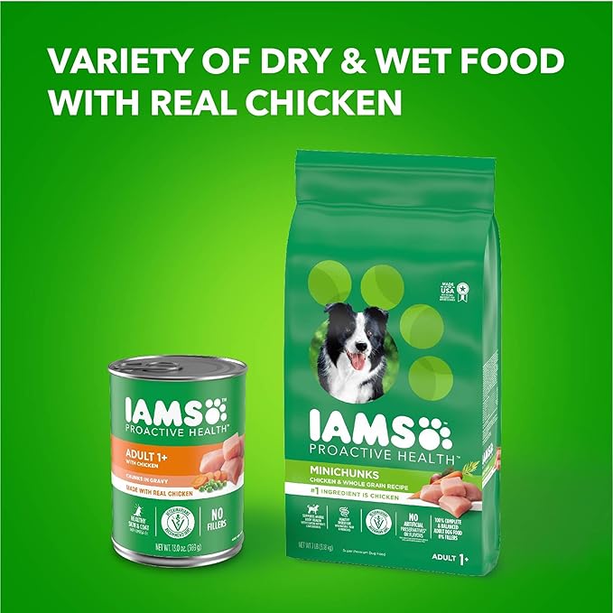 IAMS Proactive Health Wet Dog Food Adult, Canned Dog Food, Chicken Chunks in Gravy, 13 oz. Cans, Pack of 12