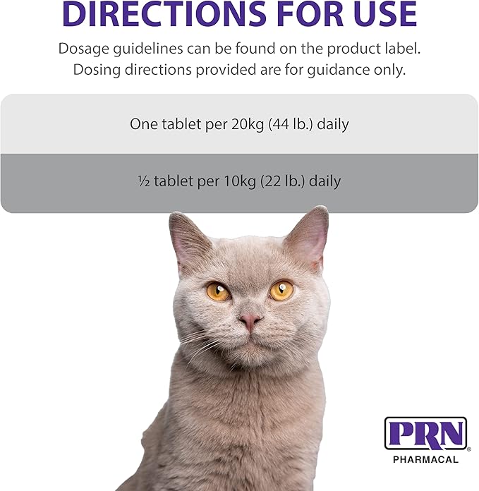 PRN Pharmacal CranMate Cranberry Supplement - Chewable Cranberry Extract - Nutritional Supplements for Dogs & Cats - Urinary Tract Health - Vet Formulated for Pet Urinary Care - 60 Count
