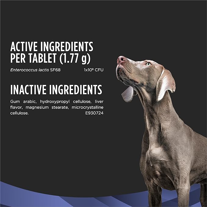 Purina Pro Plan Veterinary Supplements FortiFlora Daily Probiotics for Dogs Chewable Tablets for Digestive Gut Health and Diarrhea - 45 ct. Canister