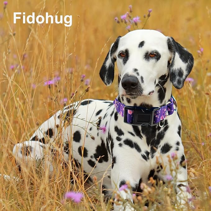 Martingale Collar for Dogs with Buckle Floral Dog Collar Girl Female Soft Nylon Dog Collars for Small Medium Large Dogs (Purple Flower, XS)