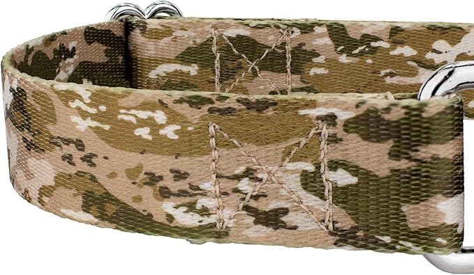 Country Brook Petz - Desert Viper Camo Martingale Dog Collar and Leash - Camouflage Collection Featuring Rugged Designs (1/2 Inch, 2XS)