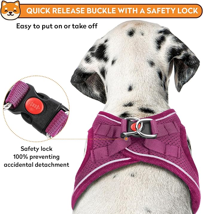 Dog Harness with Leash Set, No-Pull Step-in Reflective Pet Harness with 1 Leash Clips, Adjustable Soft Padded Easy Walk Dog Vest for Small Medium Large Dogs, Cats(Rose Red, XXSmall)