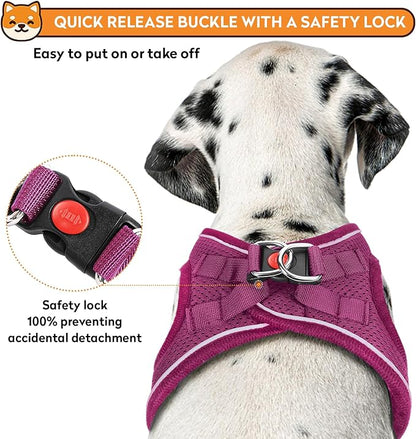 Dog Harness with Leash Set, No-Pull Step-in Reflective Pet Harness with 1 Leash Clips, Adjustable Soft Padded Easy Walk Dog Vest for Small Medium Large Dogs, Cats(Rose Red, XSmall)
