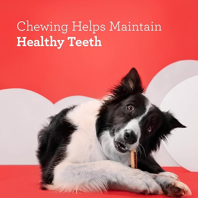 DreamBone DreamSticks with Real Bacon and Cheese Flavor, Rawhide Free Dog Chew Sticks 15 Sticks