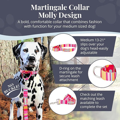 Lucky Love Dog Martingale Dog Collar - Adjustable, No-Slip, Durable, & Soft Webbing Collar for Male and Female Dogs Ideal for Training & Walking - Molly, Medium