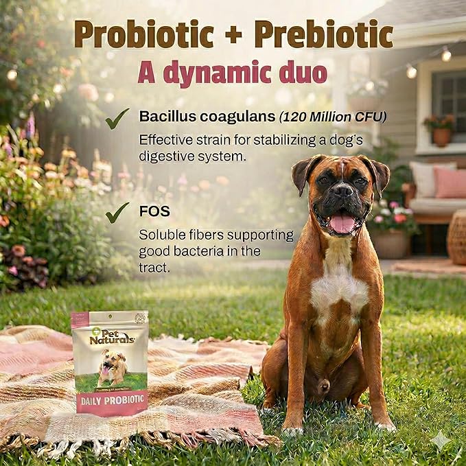 Pet Naturals Daily Probiotic Soft Chews for Dogs, Digestive and Immune Support Supplement, 1 Billion CFU Per Chew, Duck, 60 Count
