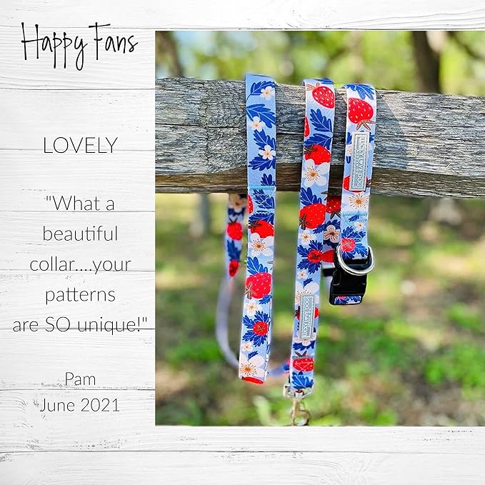 Lucky Love Dog Martingale Collar, Premium Fun Girl No Slip Collars, Strawberry Martingale Medium Dog Collar, Great for Whippets, Greyhounds, and More (Sweet Berry, Medium)