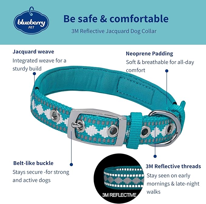 Blueberry Pet Reflective Jacquard Dog Collar with Neoprene Padding & Metal Buckle | Soft & Adjustable Safety Collar - Peacock, Neck 17-20.5", for Large Breed