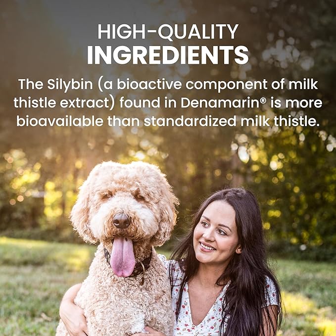 Nutramax Denamarin for Large Dogs, Liver Health Supplement with S-adenosylmethionine (SAMe) plus Silybin, Liver Support for Dogs, Coated Tablets, 30 Count