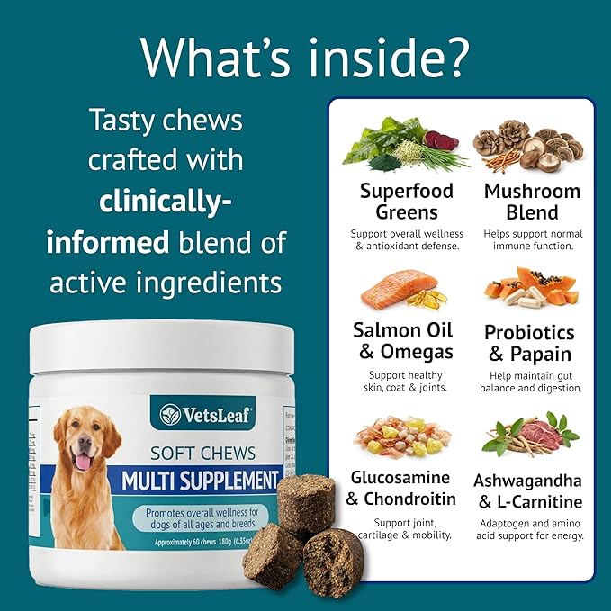 Multi Dog Chews – Comprehensive Health Supplement with Glucosamine, Probiotics, Salmon Oil, Ashwagandha & Mushrooms – Daily Well-Being, Skin & Coat, Digestion and Vitality Support