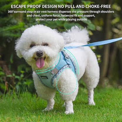 AIITLE Small Dog Harness - Breathable Double-Layer Jacquard No-Choke Vest, Durable Anti-Tear Fabric with Reflective Trim - Perfect for Running, Parties, Daily Walks (Blue, XS)