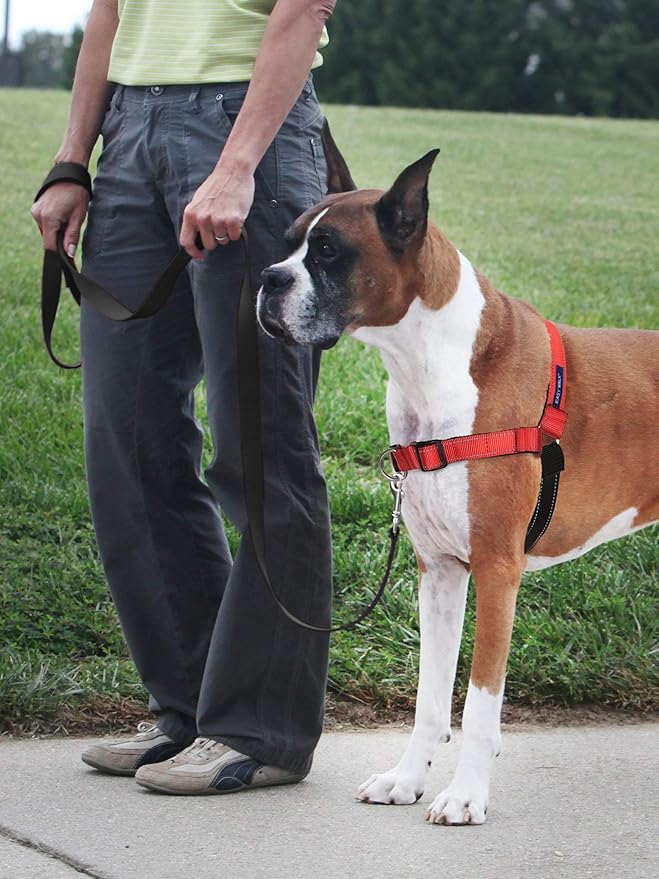 PetSafe Deluxe Easy Walk Harness - Trainer-Trusted Dog Chest Harness with Breathable Martingale Loop Design - Helps Stop Pulling with No Choking & Gagging - Medium - Rose
