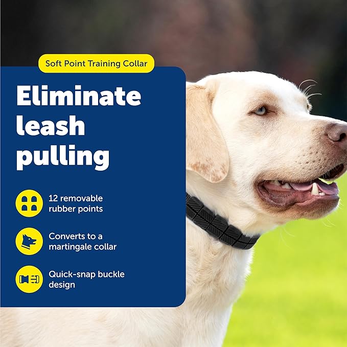 PetSafe Soft Point Training Collar - Comfortable No-Pull Adjustable Quick-Release Collar with Removable Soft Rubber Points - Pain-Free Training for Better Leash Manners - Large - Black