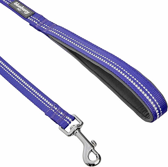 Blueberry Pet 3M Reflective Pastel Color Dog Leash with Soft & Comfortable Handle, 5 ft x 5/8", Violet, Small, Leashes for Dogs