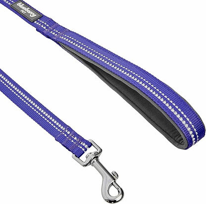 Blueberry Pet 3M Reflective Pastel Color Dog Leash with Soft & Comfortable Handle, 4 ft x 1", Violet, Large, Leashes for Dogs