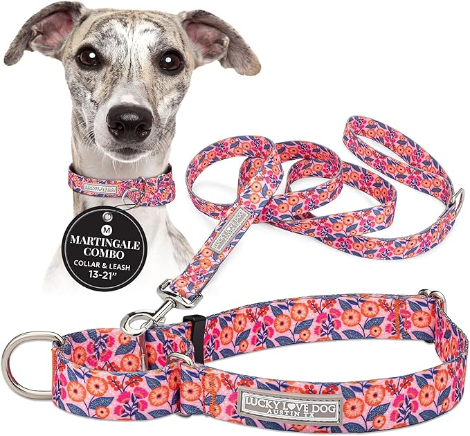 Lucky Love Dog Martingale Dog Collar & Leash - Adjustable, No-Slip, Durable, Comfortable, Soft Webbing, & Stylish Patterned Collar & Leash Set for Male and Female Dogs - Rosie Combo, Medium