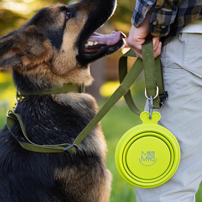 Messy Mutts Silicone Collapsible Bowl | Pet Travel Necessity | Portable Water or Food Dish | Pop Up Watering Bowl | Camping, Hiking, Walking Accessory | Large, 3 Cups | Blue