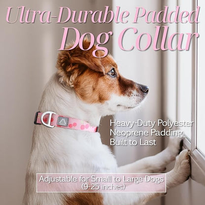 Girl Dog Collar, Pink Cute Cherry Print Reflective Padded Collar with Soft Neoprene, Adjustable Lightweight Pet Collar for Small Dogs, Puppies,Neck Size 9’’-14’’ (Cherry, S)