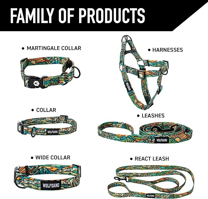 Wolfgang Heavy Duty Martingale Dog Collar with Quick Release Nylon Buckle for Walking & Training, WesternSky Print, Large