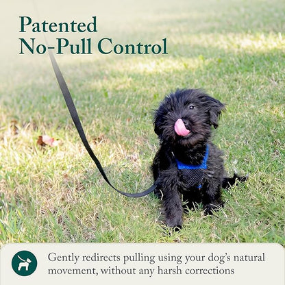 Sporn No Pull Dog Harness, Durable Nylon Mesh Harness for Small Dogs, No Choke Design, Padded Restraint Sleeves, Adjustable Fit, Easy On/Off, Ideal for Small Breeds, Blue