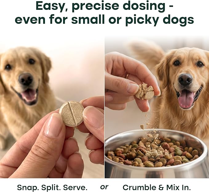 Natureflow Hip & Joint Supplement for Dogs, 300mg Green-Lipped Mussel for Dog Arthritis Pain Relief, Glucosamine, MSM & Chondroitin, Zero Sugar, Large Medium Small Breeds, 50 Chewable Tablets