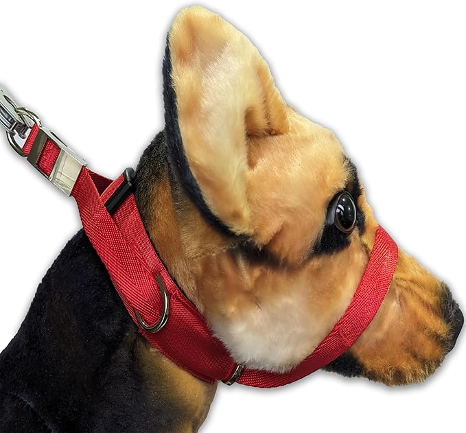 PetsProMax Dog Headcollar for Pulling & Reactive Dogs – No-Pull Training Collar with Behind-Head Leash Hook for Peaceful Walks, Instantly Stops Pulling Without Choking or Pinching (Red, L)