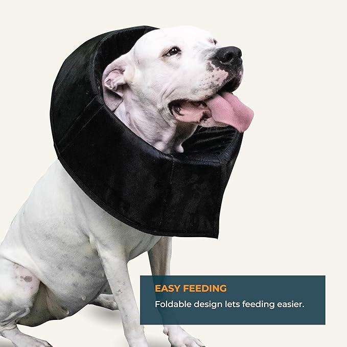 Dog Cone Collar Adjustable After Surgery, Protective Soft Dog Cone, Elizabethan Dogs Collar, Black, XL [Neck Girth: 18.1"-22.1"]