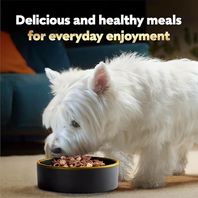 Cesar Home Delights & Classic Loaf in Sauce, Adult Wet Dog Food, Variety Pack, Wet Food for Dogs, 3.5 oz Tray, 36 Count