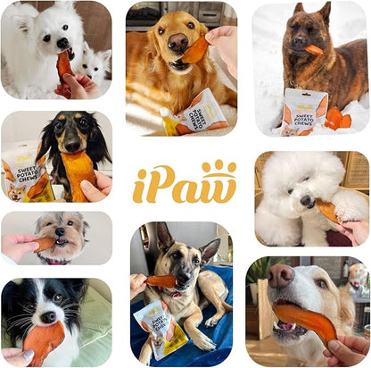 iPaw Sweet Potato Chews, Single Ingredient Dog Treats for Vegetarian, All Natural Human Grade Puppy Chew, Rawhide Alternative, Hypoallergenic, Easy to Digest, 2 Packs