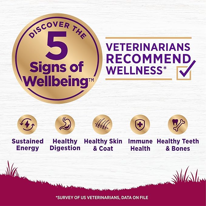 Wellness Complete Health Healthy Weight Small Breed Adult Dry Dog Food, Wholesome Grain Kibble, Natural, Turkey and Brown Rice Recipe, 4 lb Bag