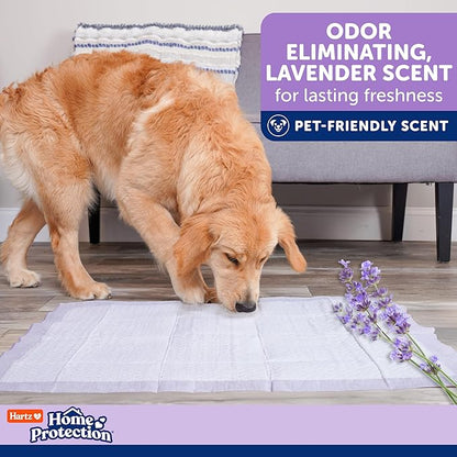 Hartz Home Protection Super Absorbent Odor Eliminating Lavender Scented No Leaks Dog Pads, 3XL 60 Count