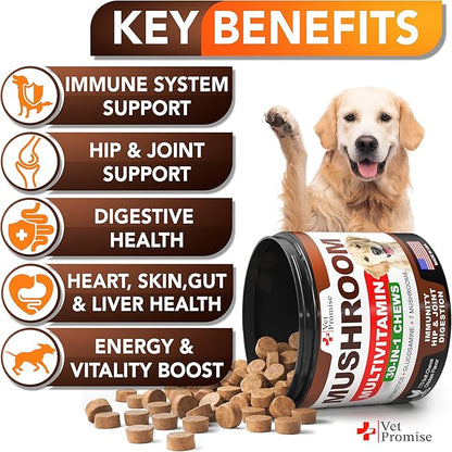 Turkey Tail Mushroom for Dogs - 170 Chews - Mushroom Supplement for Dogs - Lions Mane - Reishi - Immunity Support Multivitamin Vitamins - Joint Health - Energy - Gut - Skin - Made in USA