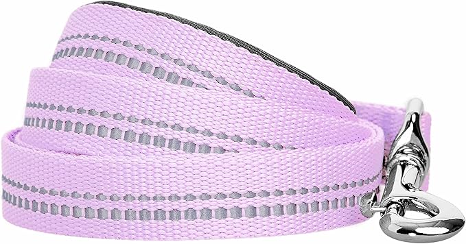 Blueberry Pet 3M Reflective Pastel Color Dog Leash with Soft & Comfortable Handle, 5 ft x 3/4", Lavender, Medium, Leashes for Dogs