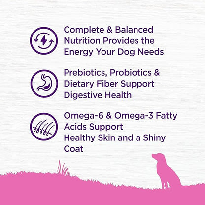 Wellness Complete Health Toy Breed Adult Dry Dog Food, Wholesome Grain Kibble, Natural, Chicken, Brown Rice, and Peas Recipe, 4 lb Bag