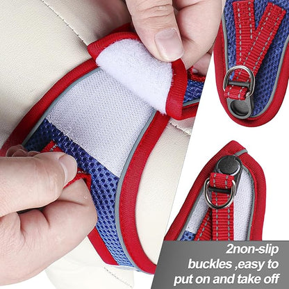 Dog Harness for Small Dogs and Leash Set, Honeycomb Grid, Reflective Lightweight Harness & Anti-Twist Pet Lead Multi Color, Size: XS-S-M. (XS, Red & Blue)