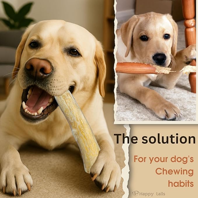 Set of 1 Coffee Wood Dog Chew Stick Toy for Dog, Natural and Real Wooden Bone Sticks for Pets, Safe Dental Cleaning Chews, Pets Health, Teeth Cleaning and Relieve Stress (Large)