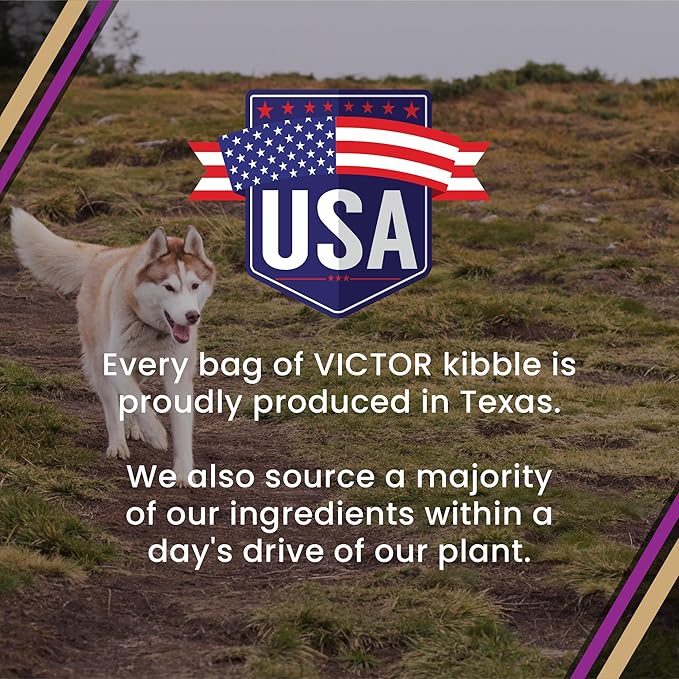 VICTOR Super Premium Dog Food – Professional Dry Dog Food – Super Premium Kibble with 26% Protein – Gluten-Free with Beef, Chicken & Pork Meals – for High Energy and Active Dogs & Puppies, 30lbs