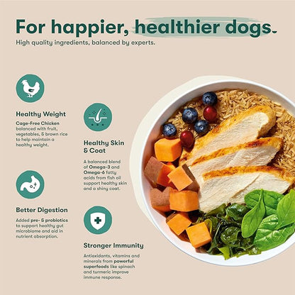 Jinx Premium Puppy Dog Food- Real Chicken, Brown Rice & Sweet Potato, Puppy Food with DHA, Protein & Calcium for Brain Health - Probiotics for Digestive Support - No Fillers - 30lb