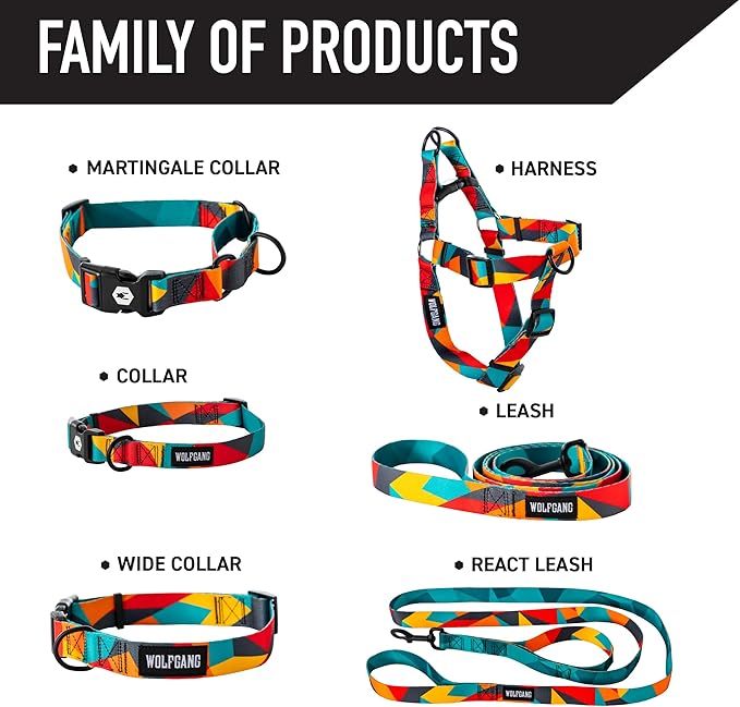 Wolfgang Heavy Duty Martingale Dog Collar with Quick Release Nylon Buckle for Walking & Training, ShatterShapes Print, Large