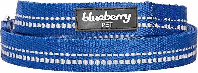 Blueberry Pet 3M Reflective Pastel Color Dog Leash with Soft & Comfortable Handle, 5 ft x 3/4", Navy, Medium, Leashes for Dogs