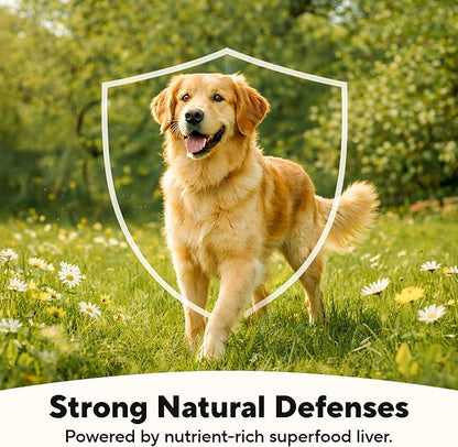 Dave's Pet Food Limited Ingredient Dog Food (95% Turkey & Chicken), Made in USA Grain Free Wet Canned Meals, Large & Small Breeds, 12.5 oz Cans (12 Pack)