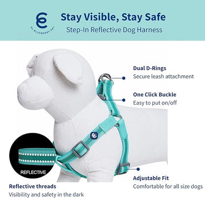 Blueberry Pet Essentials Reflective Back to Basics Matching Dog Harness and Leash Set, Minty Green, Adjustable Harness with 4 ft Leash for Large Dogs