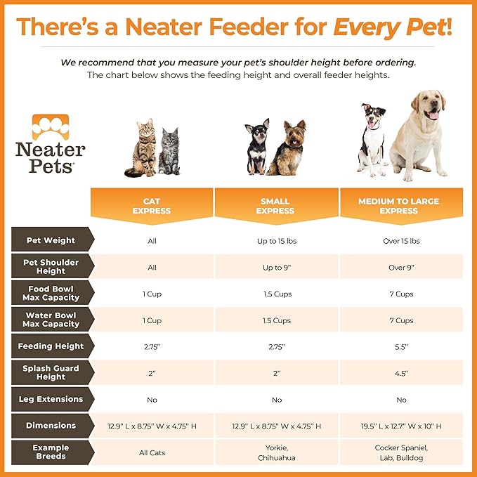 Neater Feeder Express Mess Proof Dog Bowls Elevated for Small Breeds Under 15 Lb, Made in USA, No Spill Raised Dog Food Bowl Stand, Stainless Steel Food and Water Bowl Set, Feeding Station, Almond