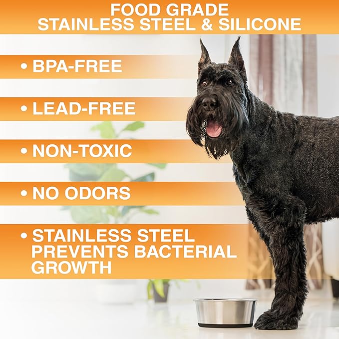 Neater Pet Brands Stainless Steel Dog Bowls with Non-Slip Rubber Bottom – Set of 2, 4 Cup (32 oz), Black - Heavy Duty Metal Dog Bowl, Dishwasher Safe, Food or Water Bowl, Ideal for Medium Dogs