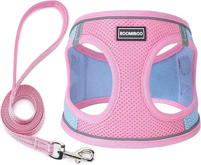Dog Harness with Leash Set, No Pull Adjustable Reflective Step-in Puppy Pet Vest Harnesses for Small Medium Large Dogs and Cats,Pink Green XXS