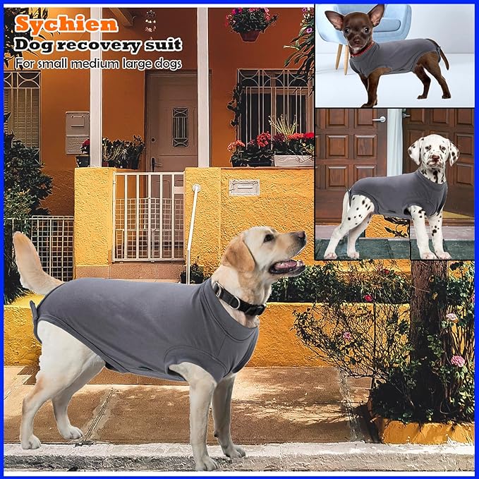Dog Surgery Recovery Suit, Recovery Suit for Dogs Male Female Spay & Neuter, Anti-Licking Surgical Onesie for Dogs After Surgery Wear, Dog Cone Alternative (Blank Grey, XL)